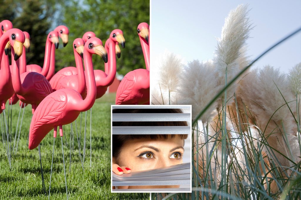 What do Flamingos Mean Sexually: Crazy Secret of Swingers Revealed in 9 Bits